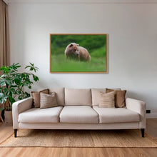 Charger l&#39;image dans la galerie, Teddy la peluche 2
