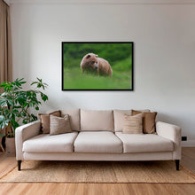 Charger l&#39;image dans la galerie, Teddy la peluche 2
