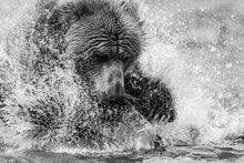 Charger l&#39;image dans la galerie, Toutes griffes dehors
