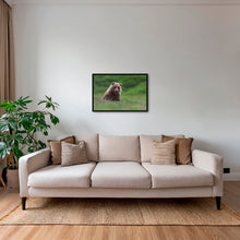 Charger l&#39;image dans la galerie, Teddy la peluche
