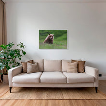 Charger l&#39;image dans la galerie, Teddy la peluche
