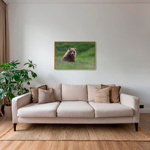 Charger l&#39;image dans la galerie, Teddy la peluche
