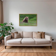 Charger l&#39;image dans la galerie, Teddy la peluche
