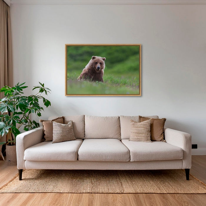 Teddy la peluche