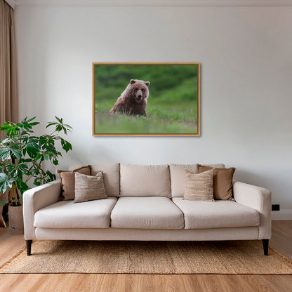 Teddy la peluche