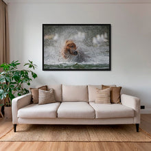 Charger l&#39;image dans la galerie, Bob se sèche
