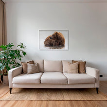 Charger l&#39;image dans la galerie, Le bain de Teddy
