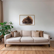 Charger l&#39;image dans la galerie, Le bain de Teddy
