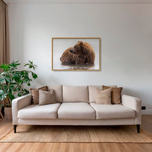 Charger l&#39;image dans la galerie, Le bain de Teddy
