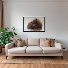 Charger l&#39;image dans la galerie, Le bain de Teddy
