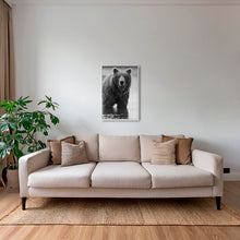 Charger l&#39;image dans la galerie, Teddy
