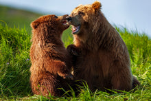 Charger l&#39;image dans la galerie, Cliff et solstice
