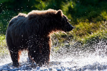 Charger l&#39;image dans la galerie, Pêche en rivière
