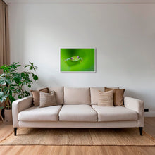 Charger l&#39;image dans la galerie, Verte
