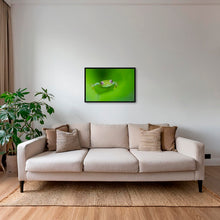 Charger l&#39;image dans la galerie, Verte
