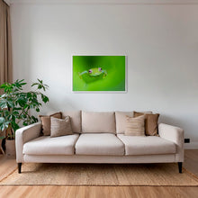 Charger l&#39;image dans la galerie, Verte
