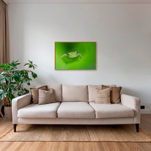 Charger l&#39;image dans la galerie, Verte
