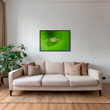 Charger l&#39;image dans la galerie, Verte
