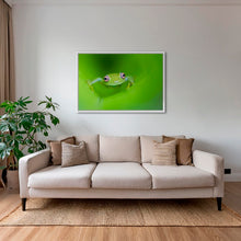 Charger l&#39;image dans la galerie, Verte
