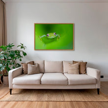 Charger l&#39;image dans la galerie, Verte
