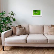 Charger l&#39;image dans la galerie, Verte
