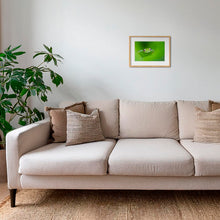 Charger l&#39;image dans la galerie, Verte
