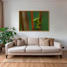 Charger l&#39;image dans la galerie, Verte perchée
