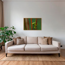 Charger l&#39;image dans la galerie, Verte perchée
