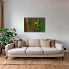 Charger l&#39;image dans la galerie, Verte perchée
