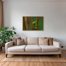 Charger l&#39;image dans la galerie, Verte perchée
