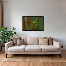 Charger l&#39;image dans la galerie, Verte perchée
