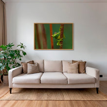 Charger l&#39;image dans la galerie, Verte perchée
