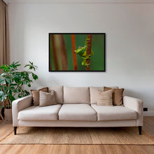 Charger l&#39;image dans la galerie, Verte perchée
