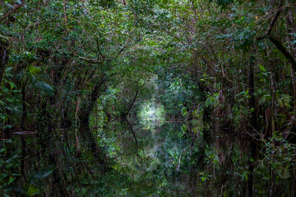 Tunnel naturel