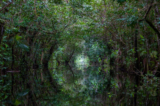 Tunnel naturel