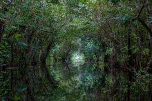 Charger l&#39;image dans la galerie, Tunnel naturel
