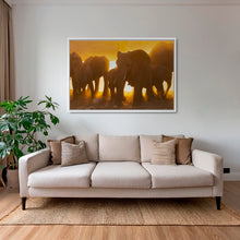 Charger l&#39;image dans la galerie, Lumière d&#39;or
