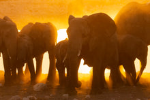 Charger l&#39;image dans la galerie, Lumière d&#39;or
