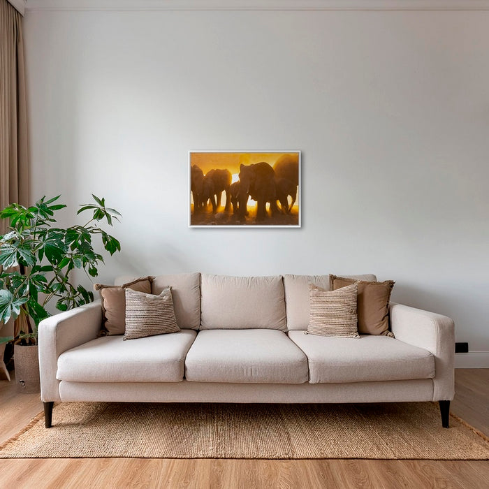 Lumière d'or