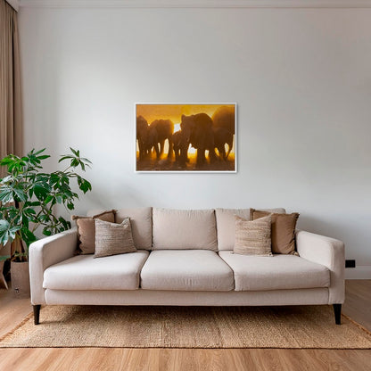 Lumière d'or