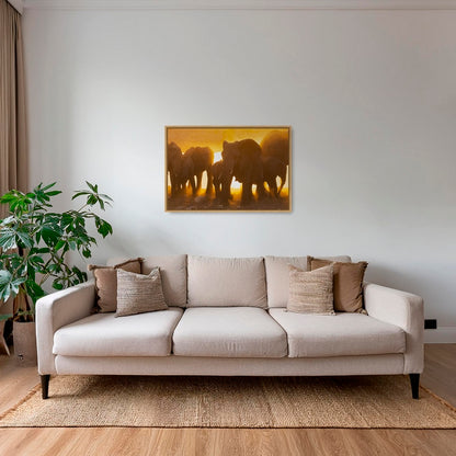Lumière d'or