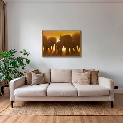 Lumière d'or