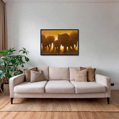 Lumière d'or