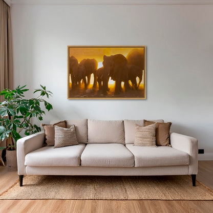 Lumière d'or