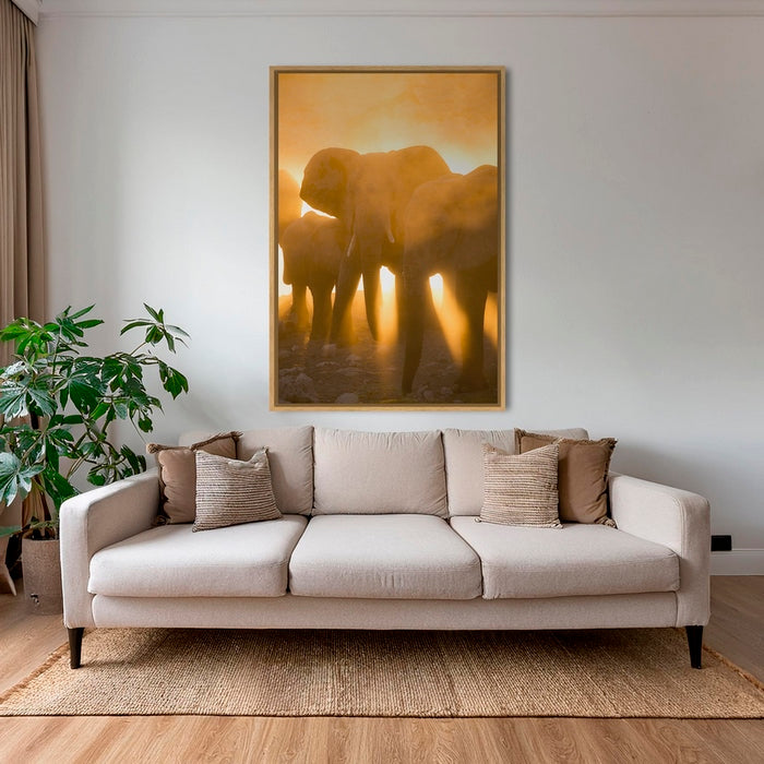 Lumière d'or au trou d'eau