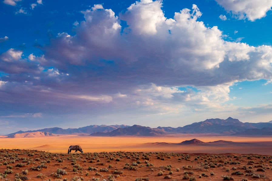 L'Oryx sous les nuages