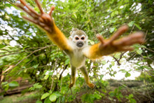 Charger l&#39;image dans la galerie, Dans mes bras
