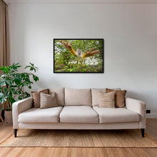 Charger l&#39;image dans la galerie, Dans mes bras
