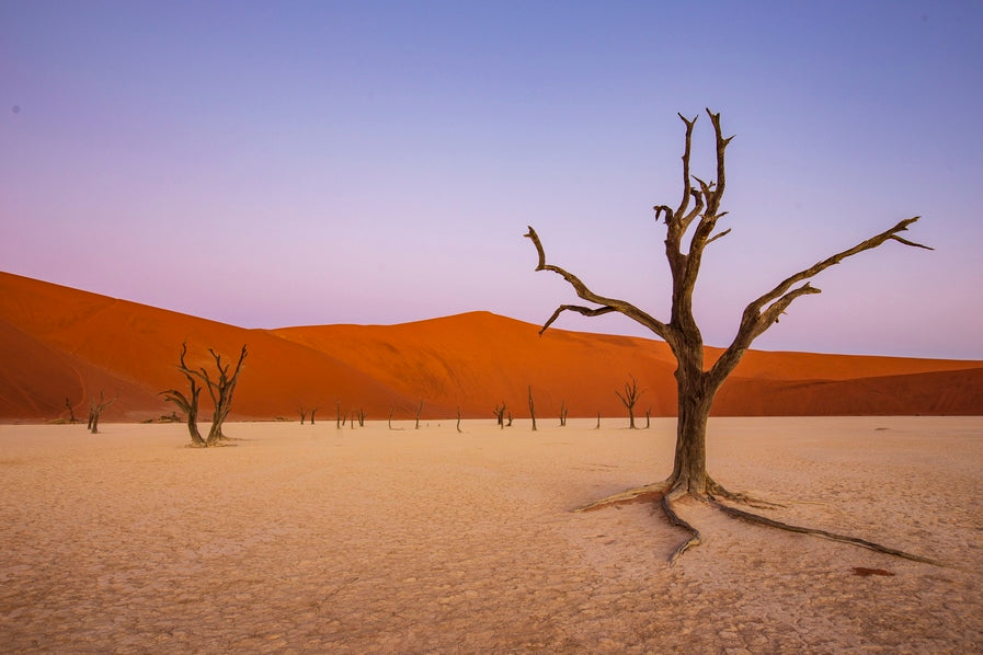 Douce lumière sur le Deadvlei 3