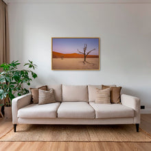 Charger l&#39;image dans la galerie, Douce lumière sur le Deadvlei 3
